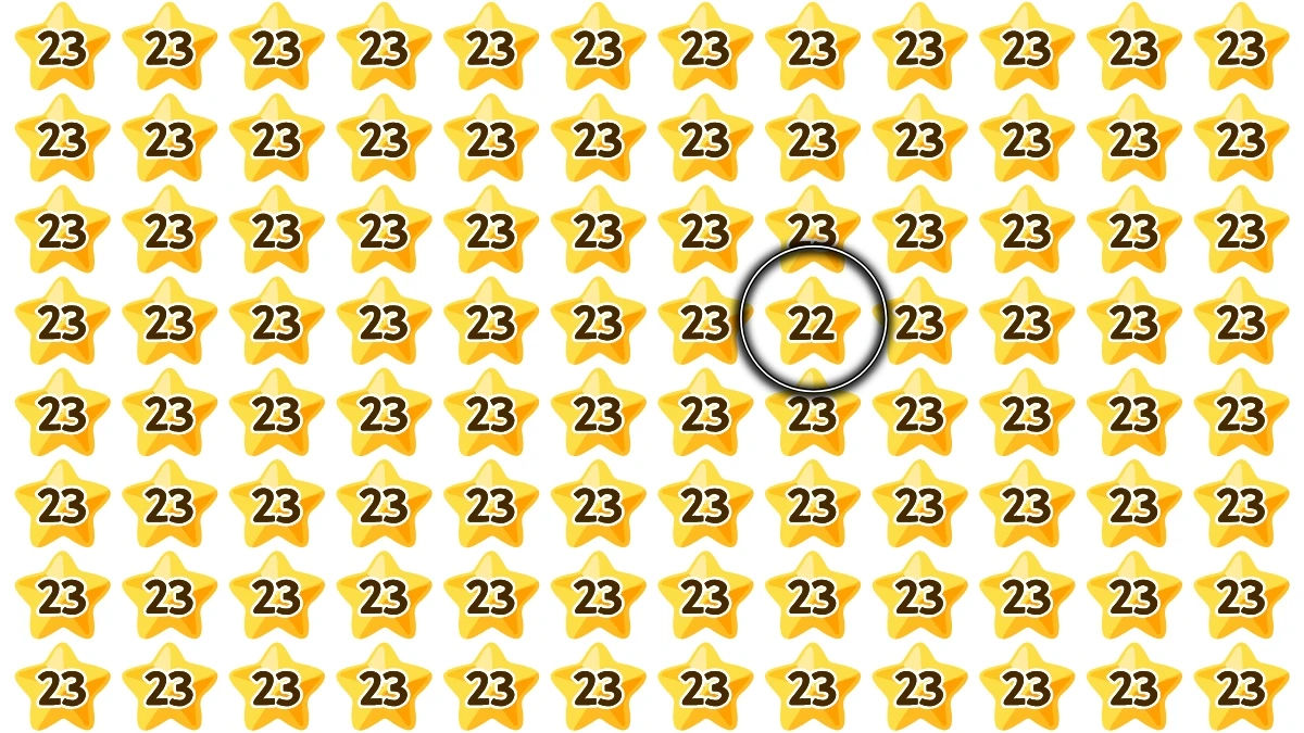 Observation Find it Out: Within 5 Seconds Spot The Number 22 among 23