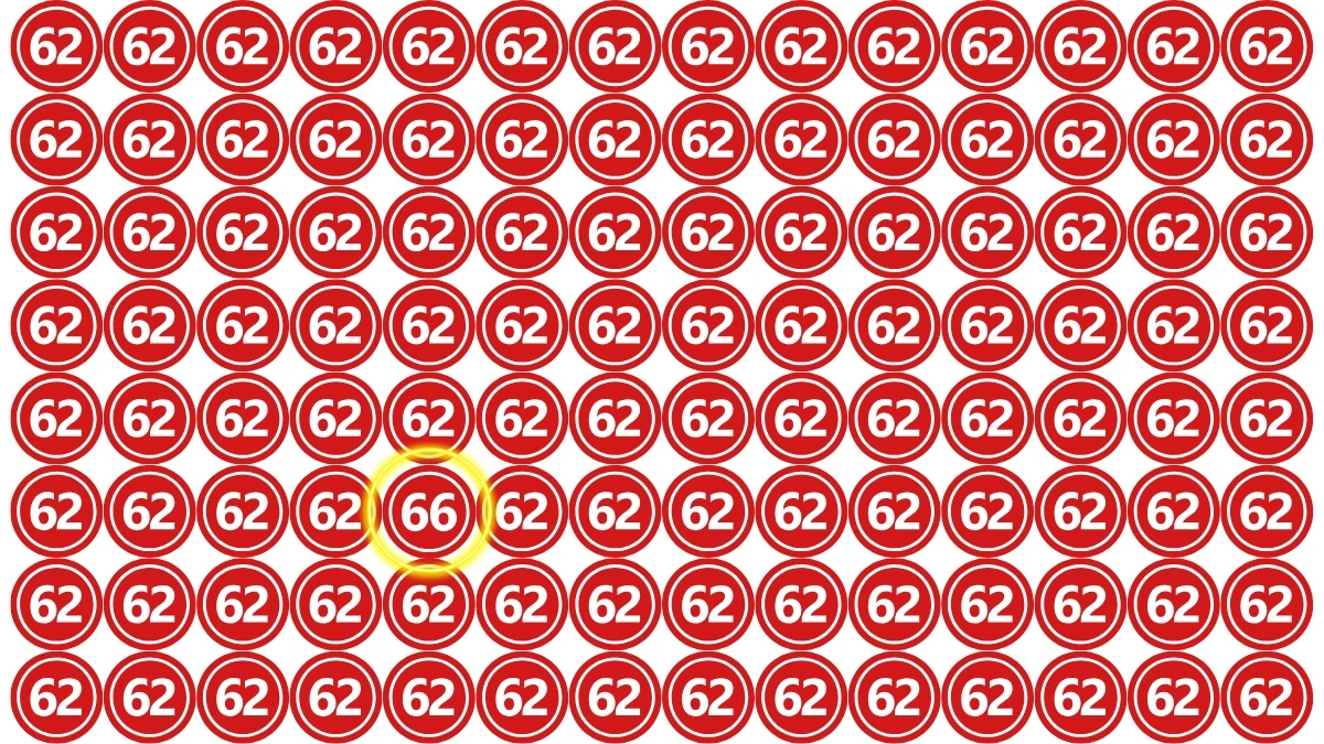 Observation Find it Out: Within 6 Seconds Spot The Number 66 among 62