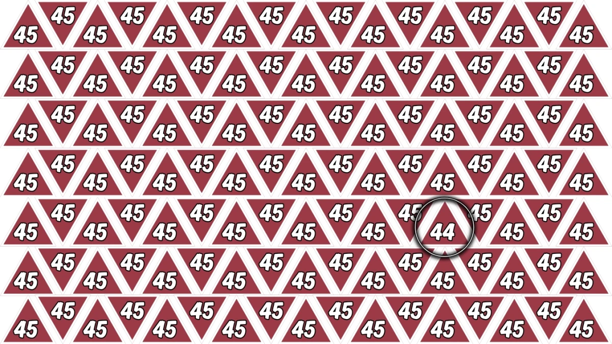 Observation Find it Out: Within 7 Seconds Spot The Number 44 among 45