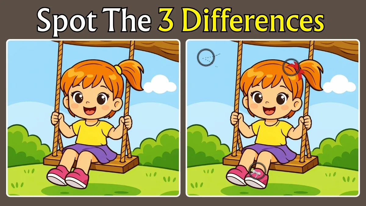 Only 1 in 10 Can Spot All 3 Differences in 15 Seconds