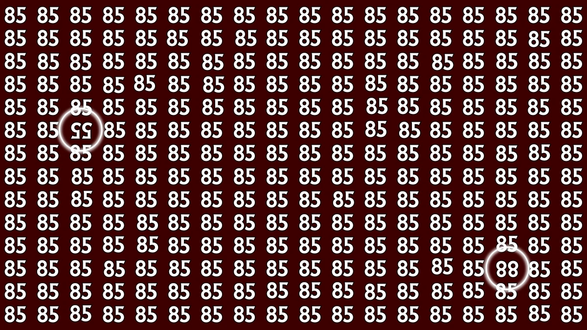 Only People with 20/20 Vision Can Spot the Inverted 55 and 88 Among 85 – Can You Find Them?