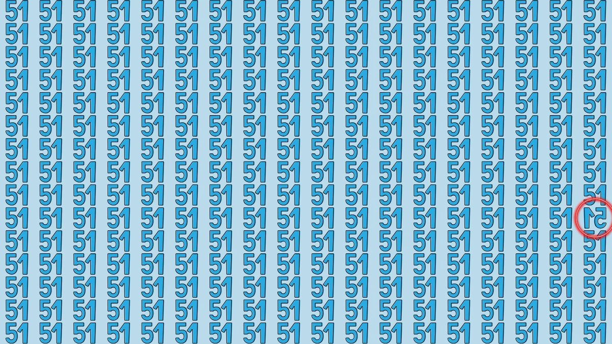 Optical Illusion: Are You A Genius? Within 5 Seconds Spot The Inverted 51 among 51