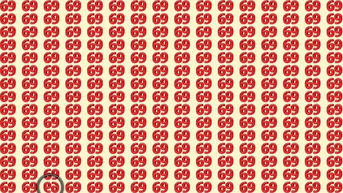 Optical Illusion: Are You A Genius? Within 9 Seconds Spot The Inverted 69 among 69