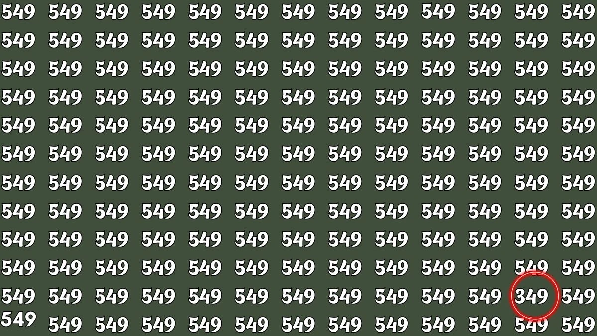 Optical Illusion Challenge: Only a person with high IQ Level can Spot the Hidden Number 349