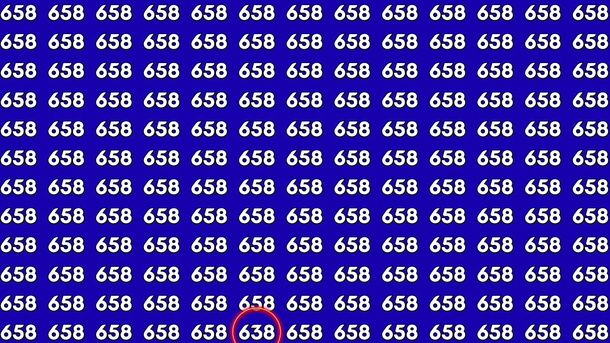 Optical Illusion Challenge: Only a Person with High IQ Level Can Spot the Hidden Number 638