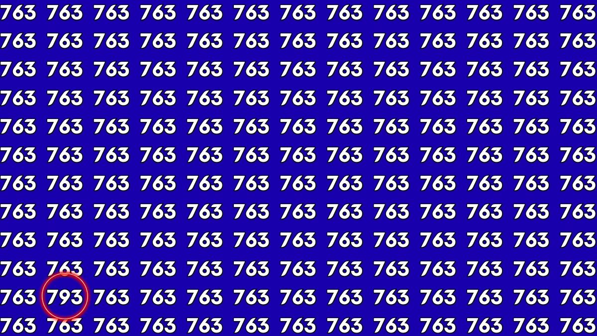 Optical Illusion Challenge: Only a Person with High IQ Level Can Spot the Hidden Number 793
