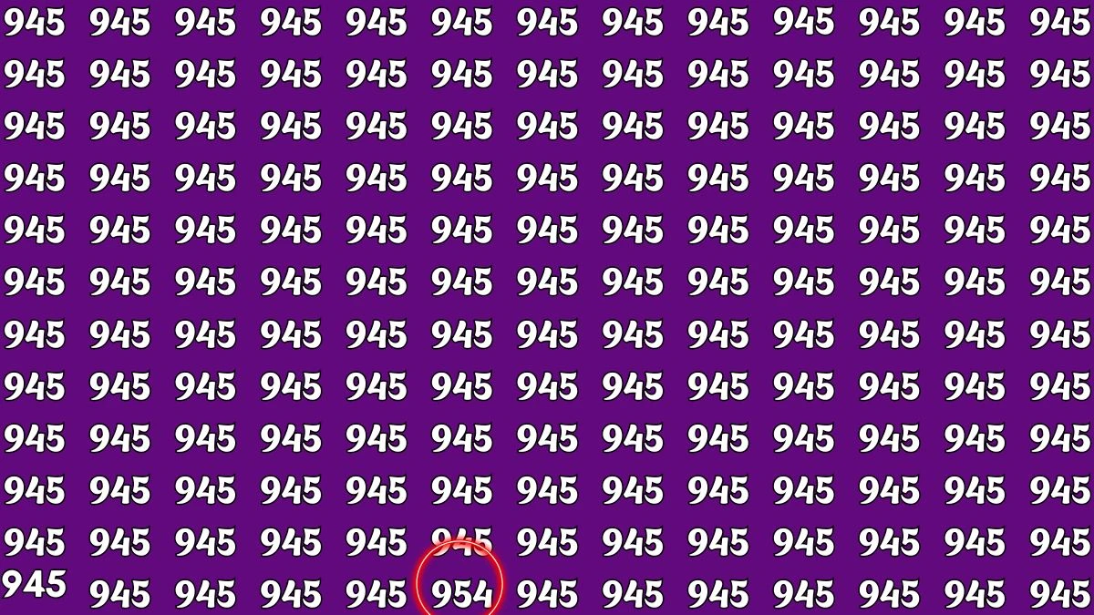 Optical Illusion Challenge: Only a person with high IQ Level can Spot the Hidden Number 954