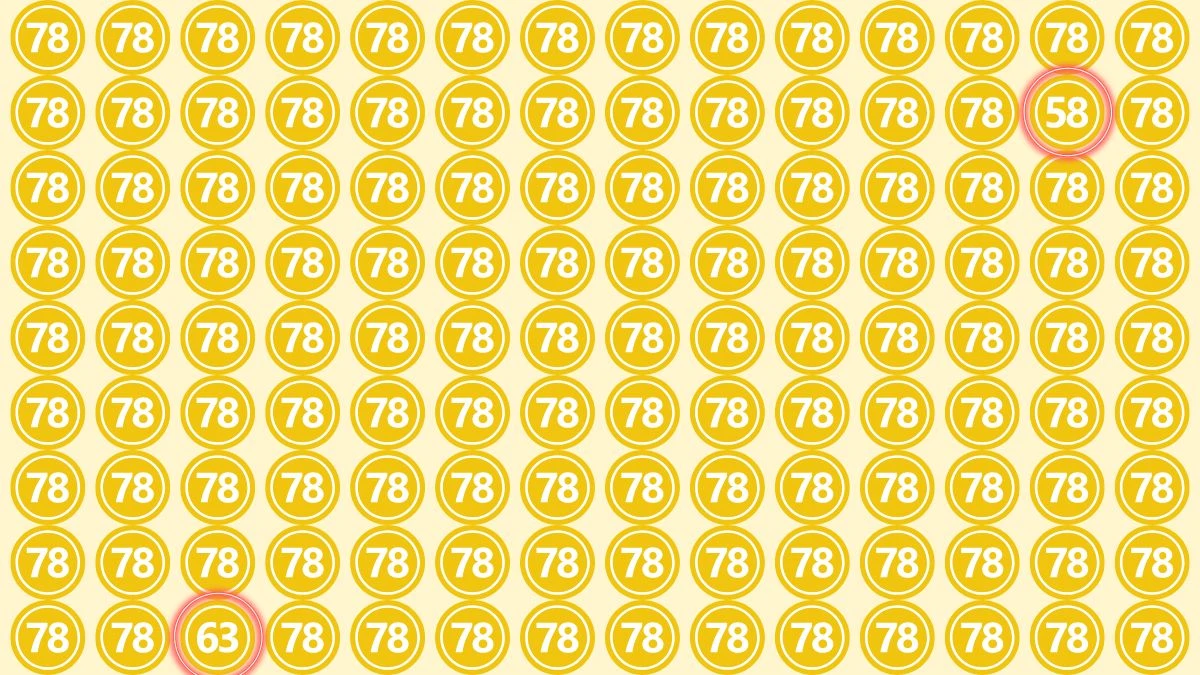 Optical Illusion Eye Test Challenge: Within 8 Seconds Spot The Number 63 and 58 among 78