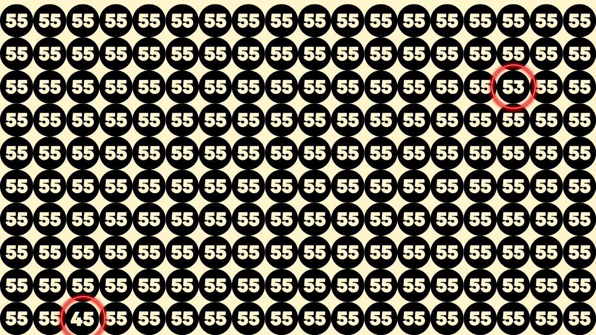 Optical Illusion Eye Test Challenge: Within 9 Seconds Spot The Number 45 and 53 among 55