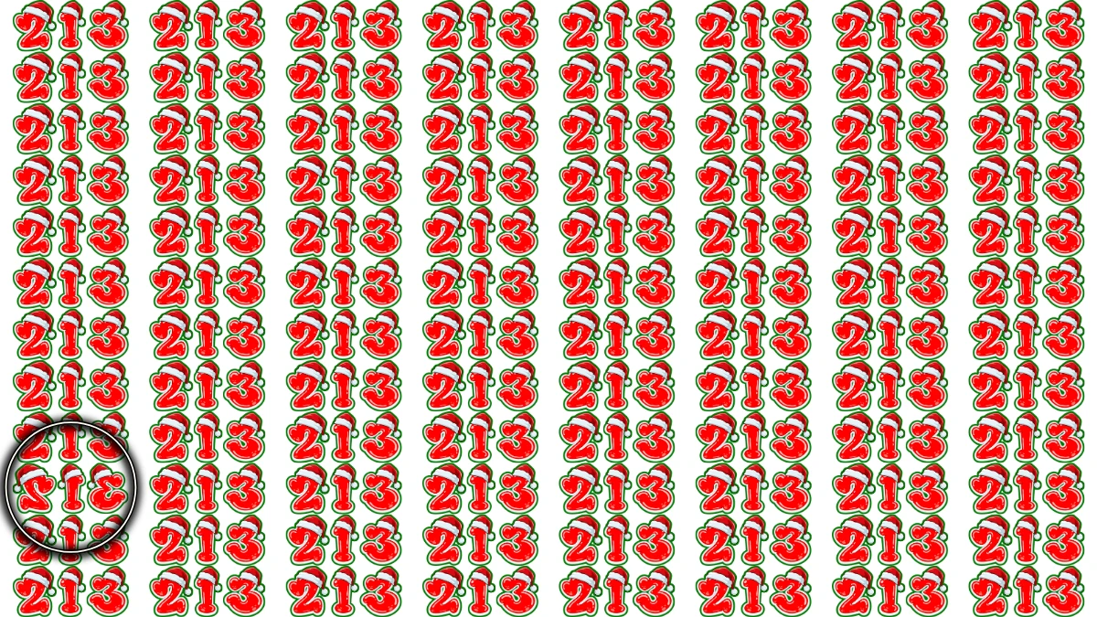 Optical Illusion IQ Test: Within 7 Seconds Spot The Inverted 213 among 213