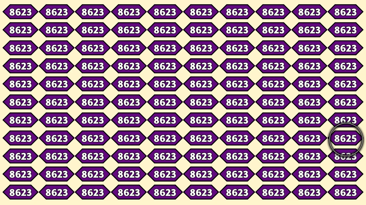 Optical Illusion Puzzle IQ Test: Only People with Sharp Eyes Can Spot the Number 8625 Among 8623 in 6 Seconds