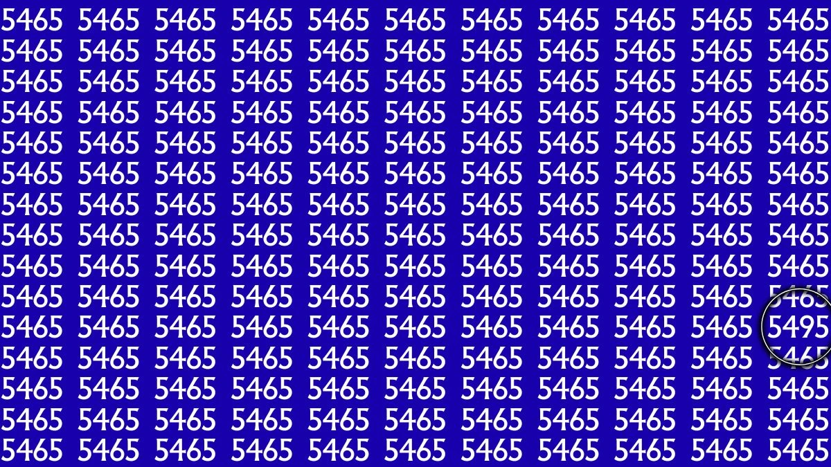 Optical Illusion Puzzle IQ Test: Within 6 Seconds Spot The Number 5495 among 5465