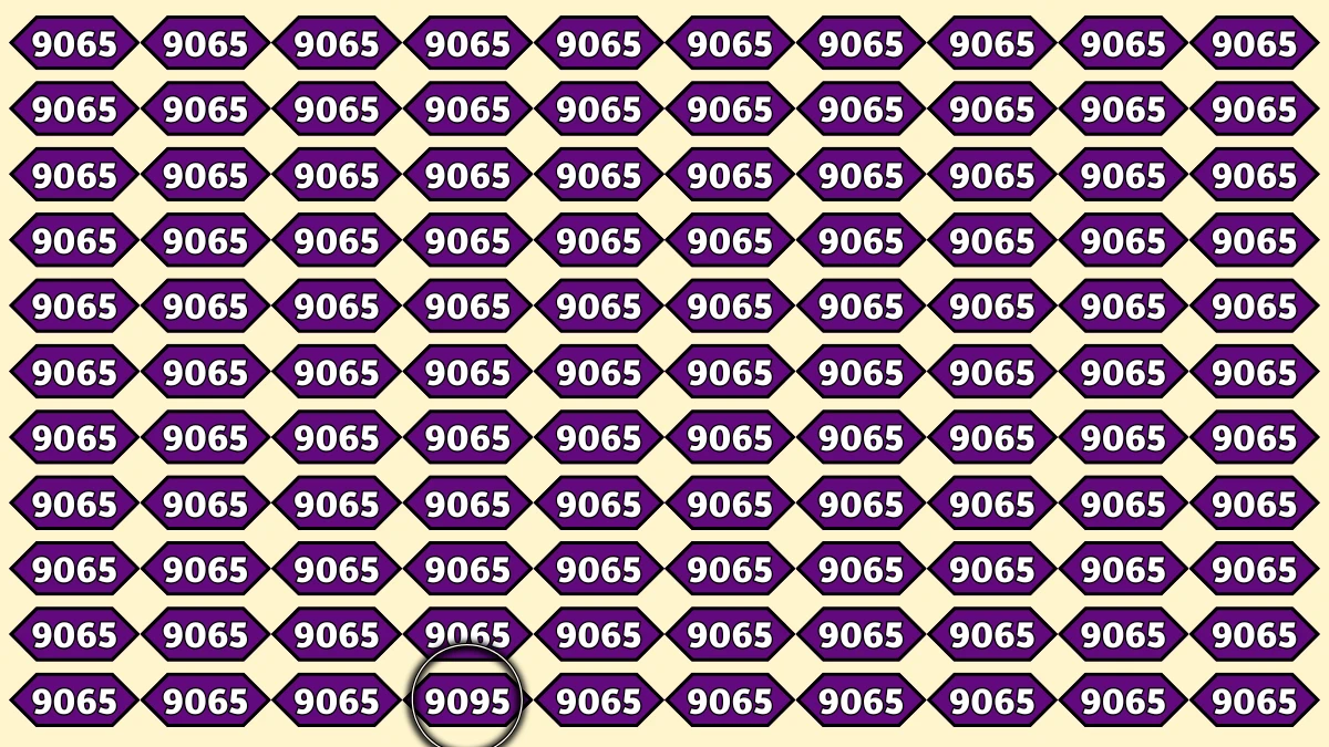 Optical Illusion Puzzle IQ Test: Within 6 Seconds Spot The Number 9095 among 9065