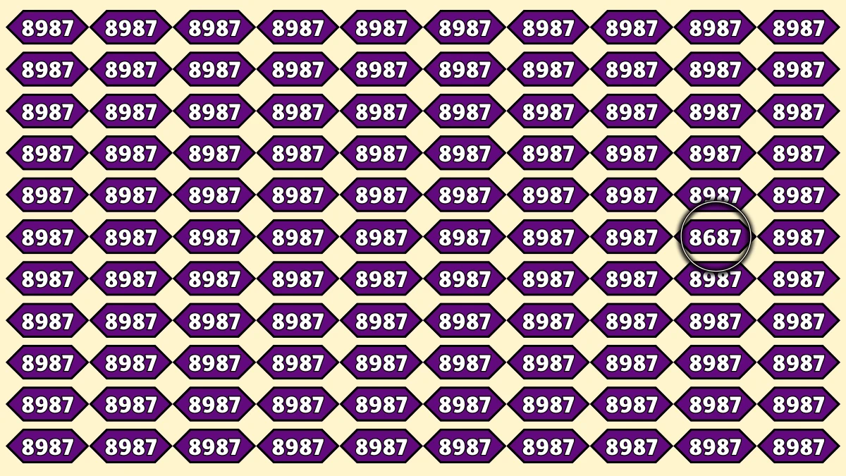 Optical Illusion Puzzle IQ Test: Within 7 Seconds Spot The Number 8687 among 8987