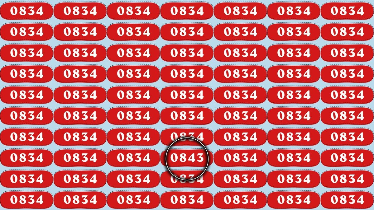 Optical Illusion Puzzle IQ Test: Within 8 Seconds Spot The Number 0843 among 0834