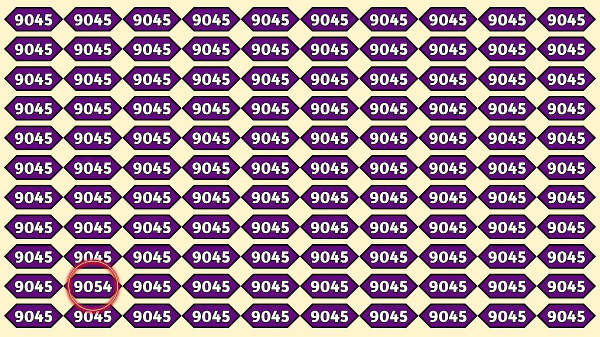 Optical Illusion Puzzle IQ Test: Within 8 Seconds Spot The Number 9054 among 9045