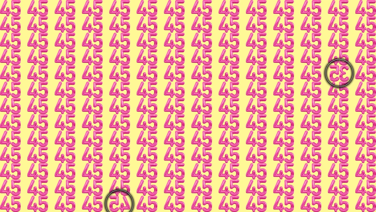 Optical Illusion: Within 7 Seconds Spot The Inverted Number 35 and 45 among 45