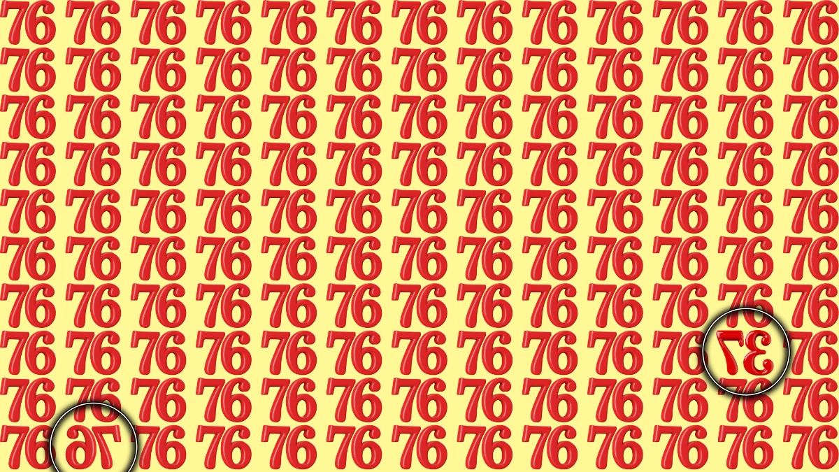 Optical Illusion: Within 7 Seconds Spot The Inverted Number 37 and 76 among 76