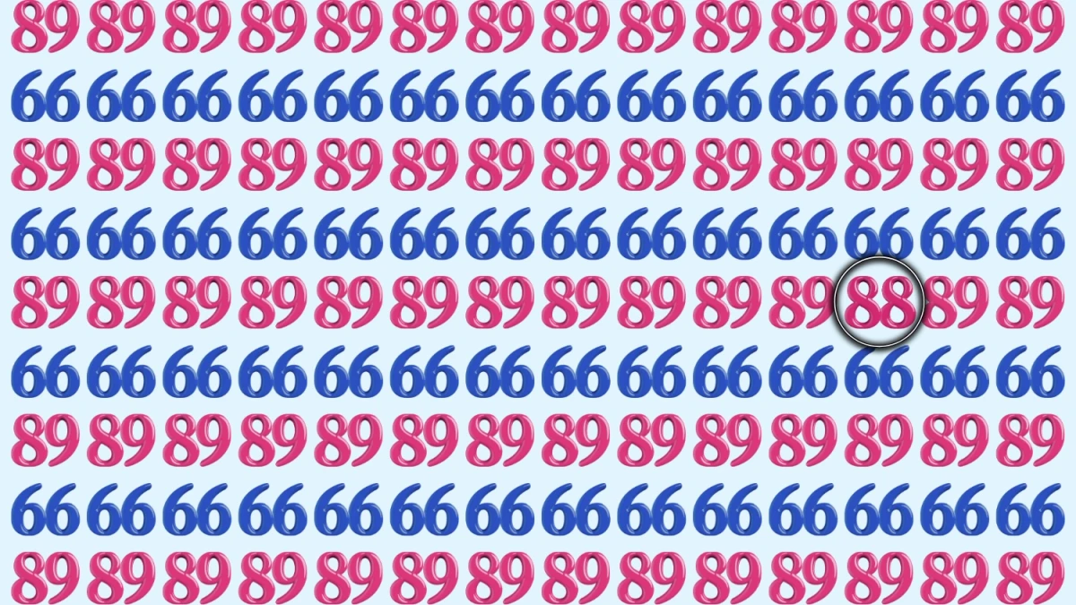 Optical Illusion: Within 7 Seconds Spot The Number 88 among 89 and 66