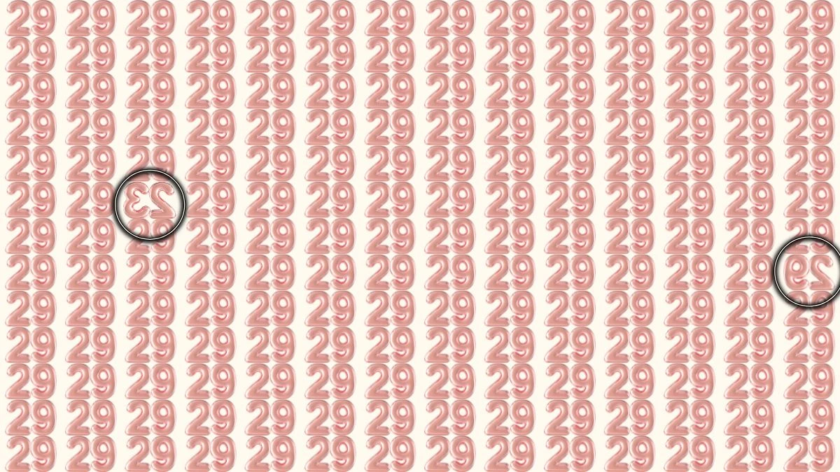 Optical Illusion: Within 8 Seconds Spot The Inverted Number 23 and 29 among 29