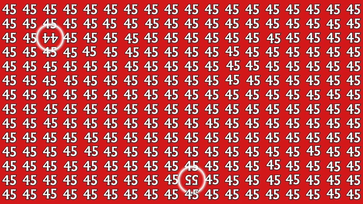 Optical Illusion: Within 8 Seconds Spot The Inverted Number 44 and 55 among 45