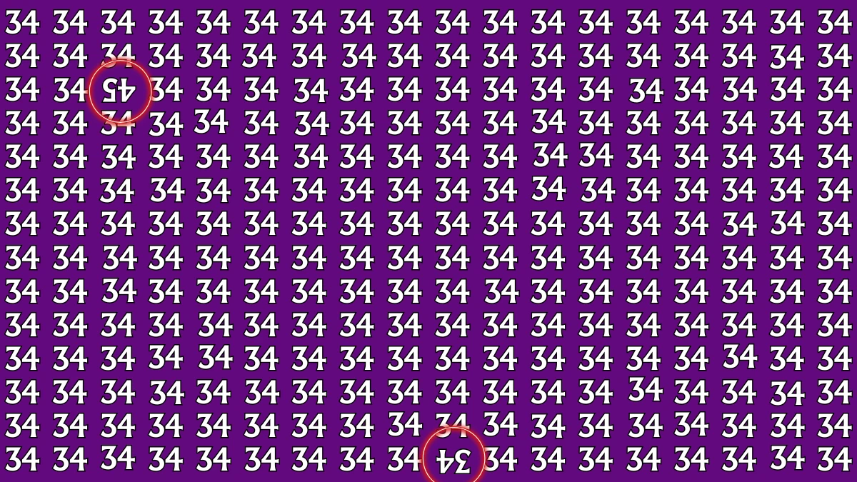 Optical Illusion: Within 8 Seconds Spot The Inverted Number 45 and 34 among 34