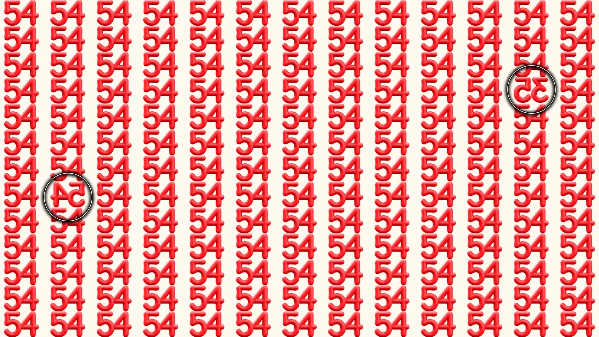 Optical Illusion: Within 8 Seconds Spot The Inverted Number 54 and 35 among 54