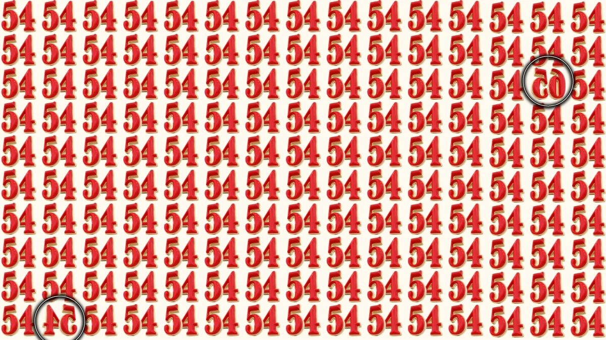 Optical Illusion: Within 8 Seconds Spot The Inverted Number 54 and 65 among 54