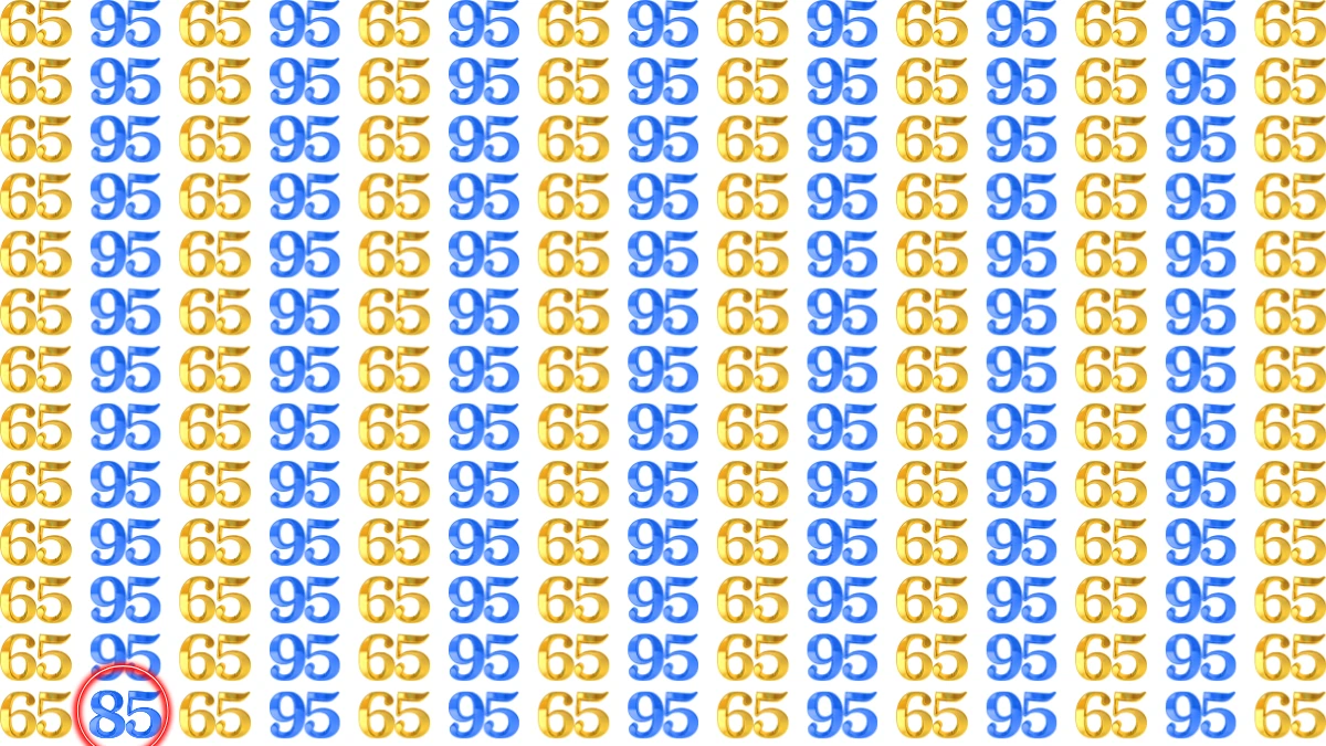 Optical Illusion: Within 8 Seconds Spot The Number 85 among 95 and 65
