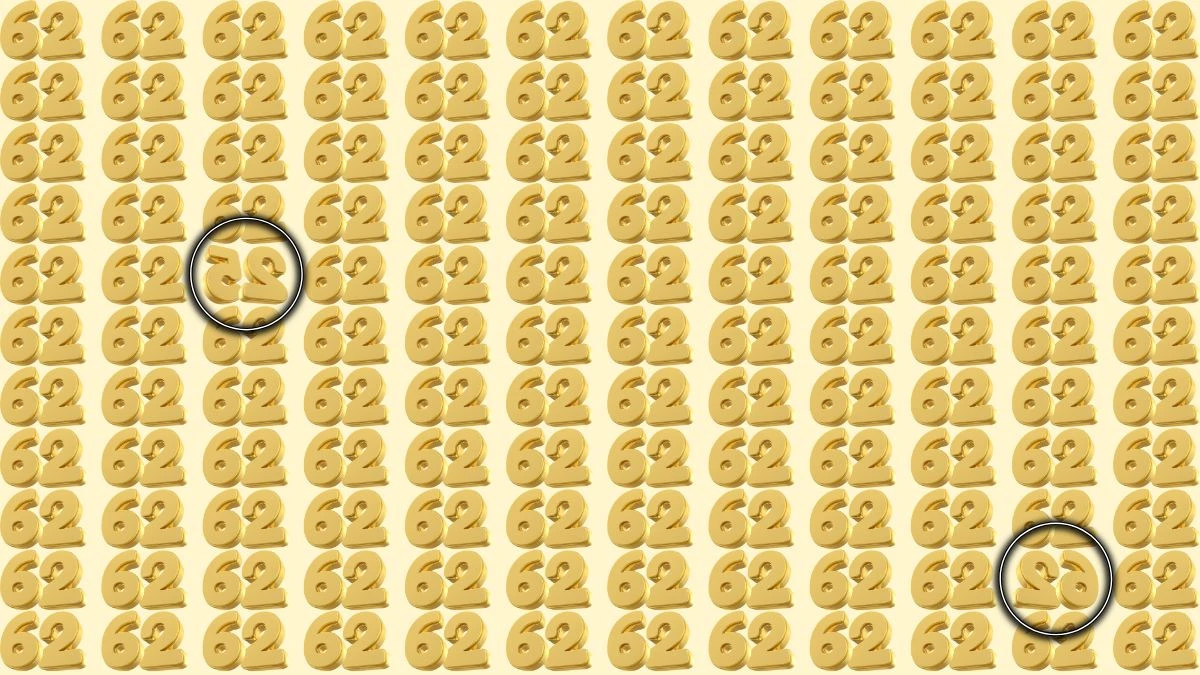 Optical Illusion: Within 9 Seconds Spot The Inverted Number 25 and 62 among 62