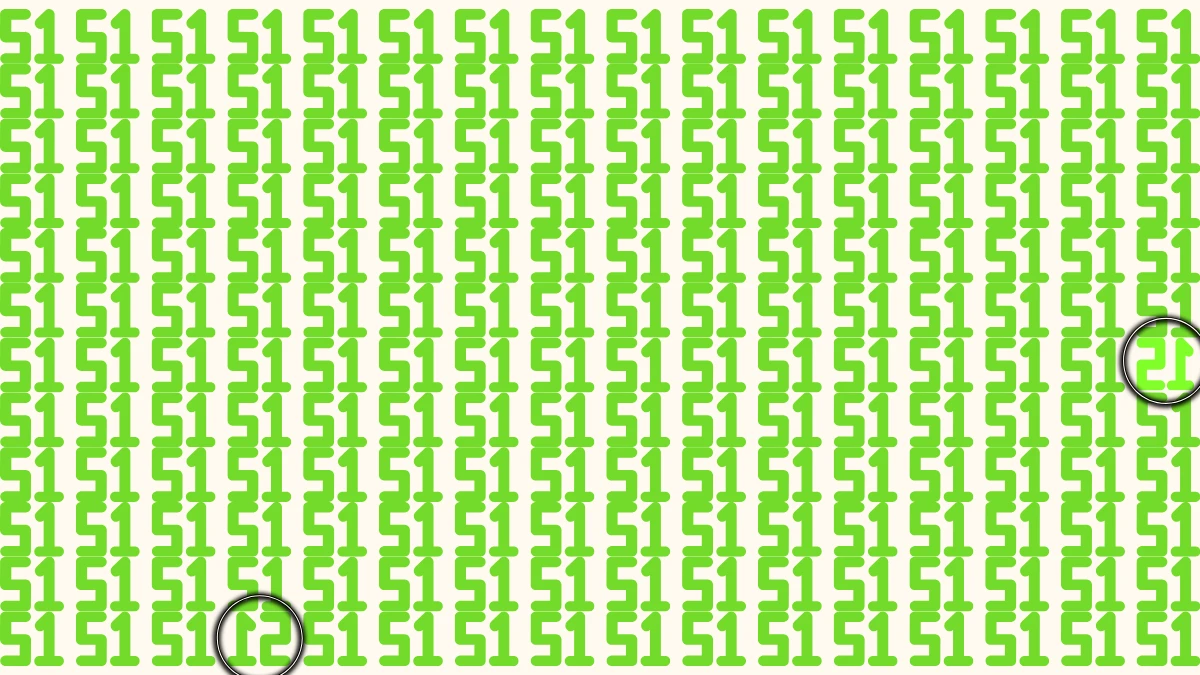 Optical Illusion: Within 9 Seconds Spot The Inverted Number 51 and 15 among 51