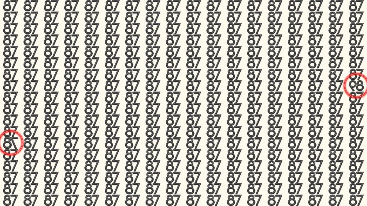 Optical Illusion: Within 9 Seconds Spot The Inverted Number 78 and 89 among 87