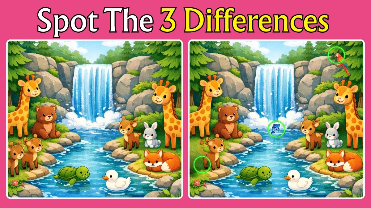 Spot the Differences: Can You Spot 3 Differences in This Waterfall Challenge in Under 10 Seconds?