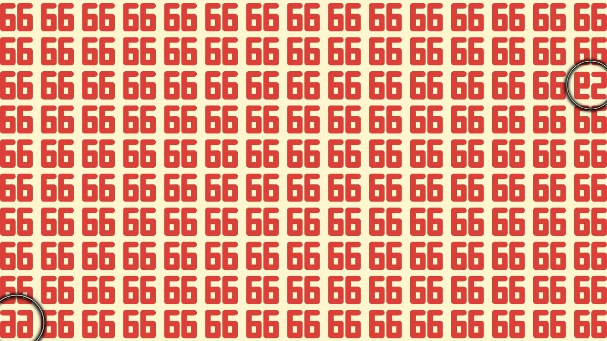 Only People with 20/20 Vision Can Spot the Inverted 66 and 59 Among 66 – Can You Find Them?