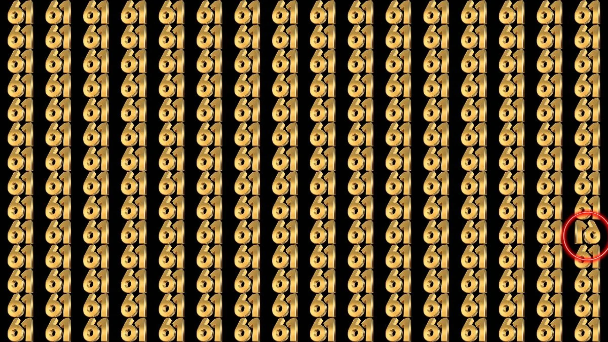 Optical Illusion: Only Sharp Eyes Can Spot the Inverted 61 Among 61 - Can You Do It?