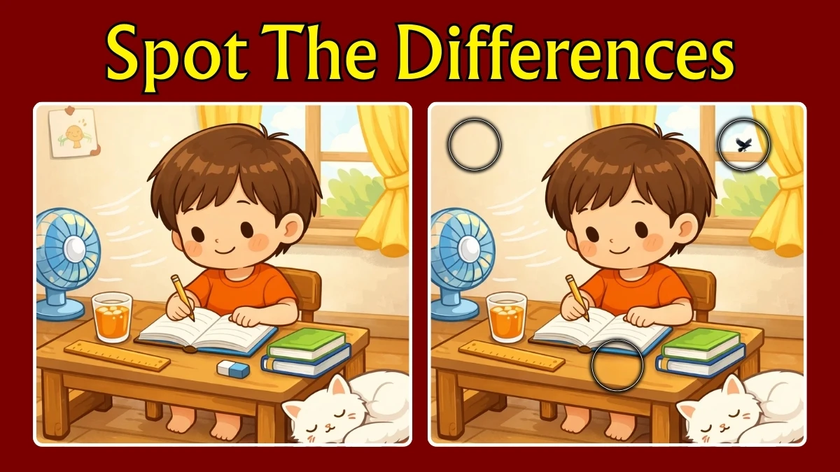 Spot 3 differences between the Boy Doing Homework Pictures in 12 seconds!