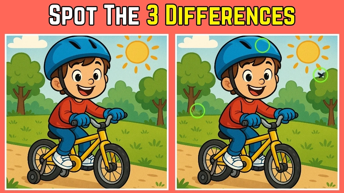 Spot 3 differences between the Boy riding Bicycle Pictures in 10 seconds!