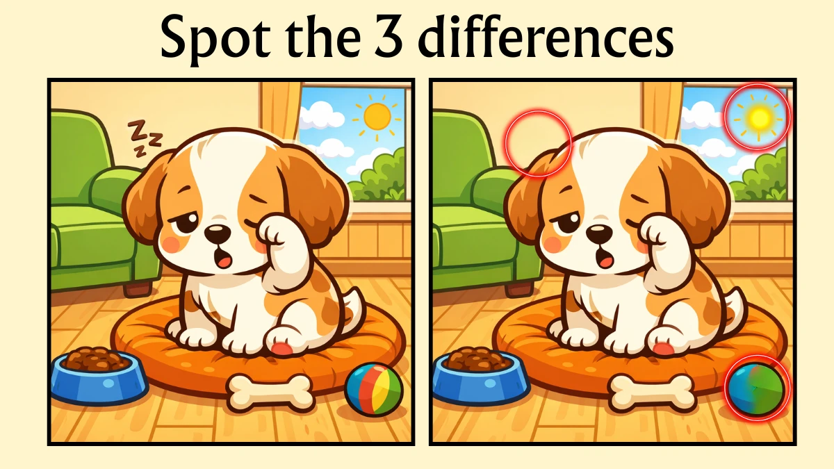 Spot 3 Differences Between the Lazy Dog Pictures in 10 Seconds!