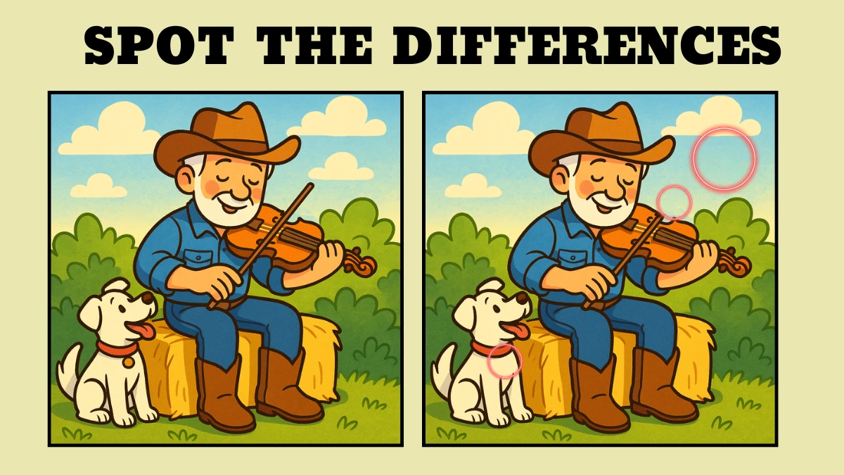 Spot 3 differences between the Man Playing Violin Pictures in 14 seconds!