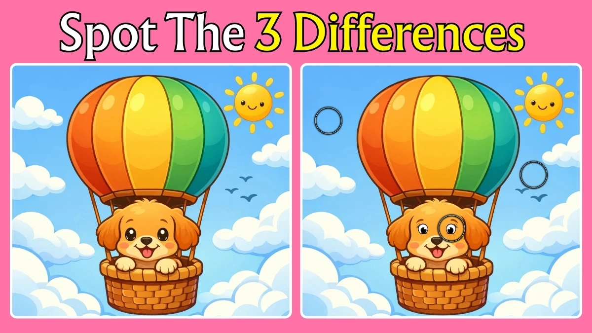 Spot 3 Differences Between the Pictures of a Dog Flying with a Parachute in 10 Seconds!