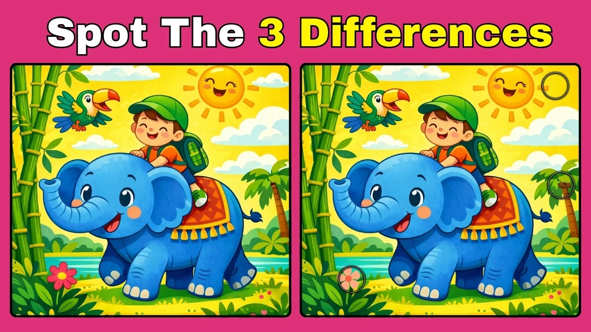 Spot 3 differences: Boy Riding Elephant Pictures in 15 seconds!
