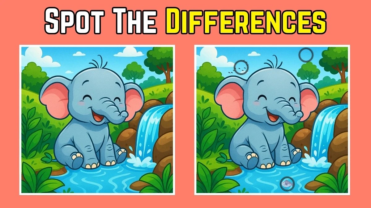 Spot 3 Differences in elephant Image - Can You Find Them in 12 Seconds