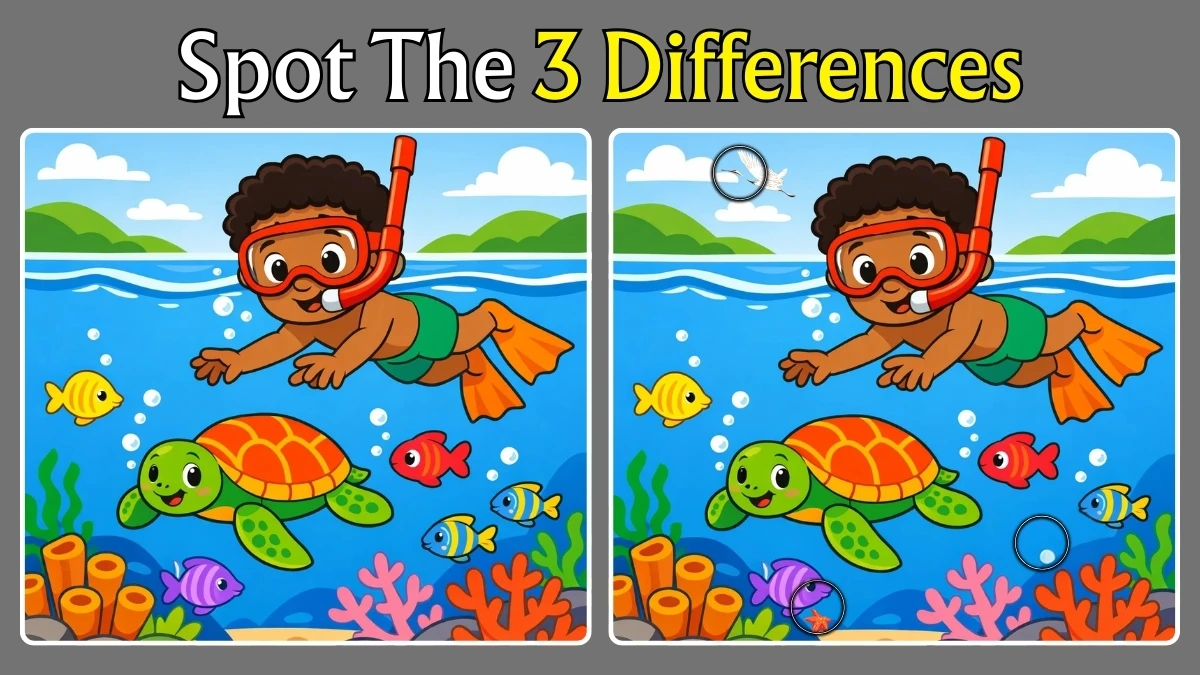 Spot the Difference: Can you spot 3 differences between the two images in 12 seconds?