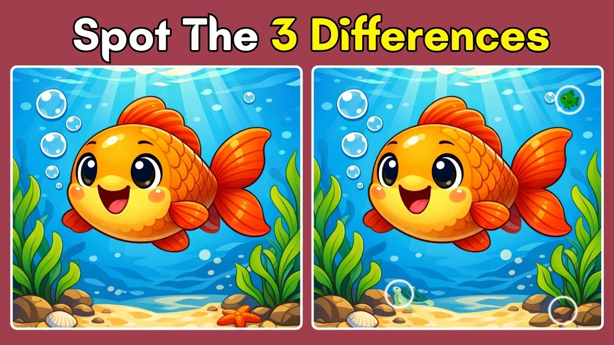 Spot the Difference Challenge: Can you Spot the 3 Differences in this Fish Pictures in 12 Seconds!