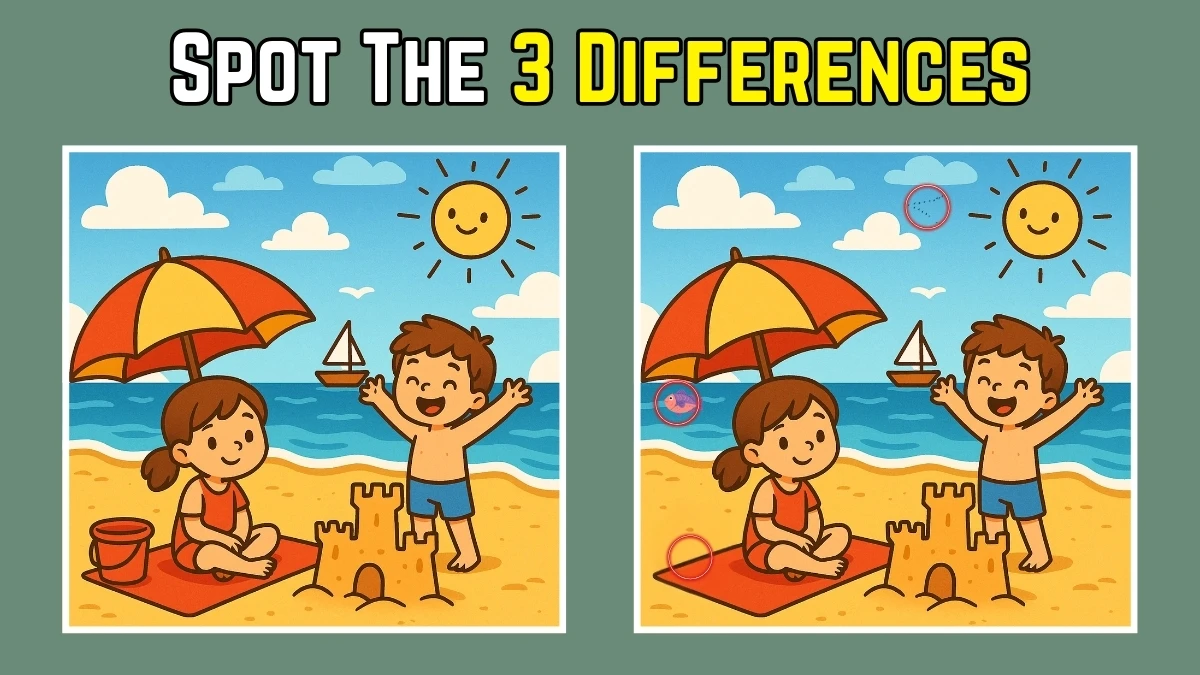 Spot the Difference: Find 3 Differences in 15 Seconds in this Beach Picture