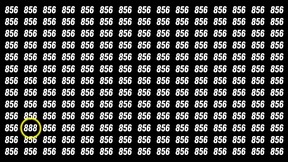 Optical Illusion Challenge: Only a Person with High IQ Level Can Spot the Hidden Number 888