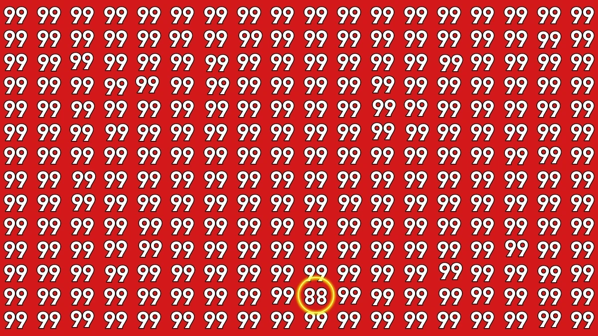 Optical Illusion Challenge: Are You a Genius? Spot the Inverted 88 Among 99 in Just 9 Seconds
