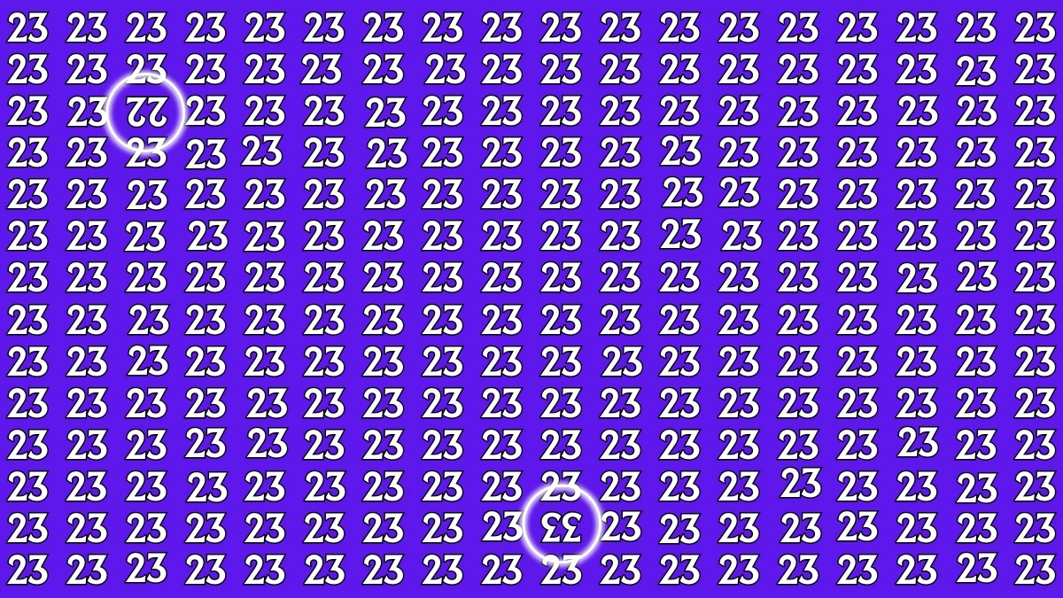 Optical Illusion: Within 8 Seconds Spot The Inverted Number 22 and 33 among 23