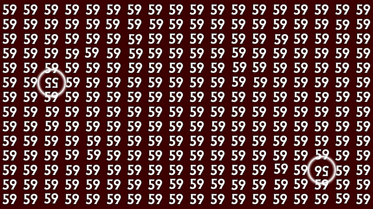 Optical Illusion: Within 8 Seconds Spot The Inverted Number 55 and 56 among 59