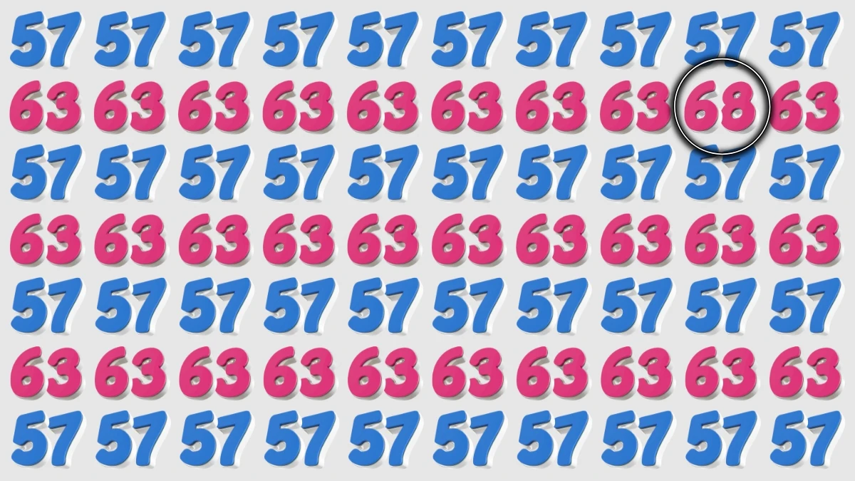 Optical Illusion: Within 9 Seconds Spot The Number 68 among 57 and 63